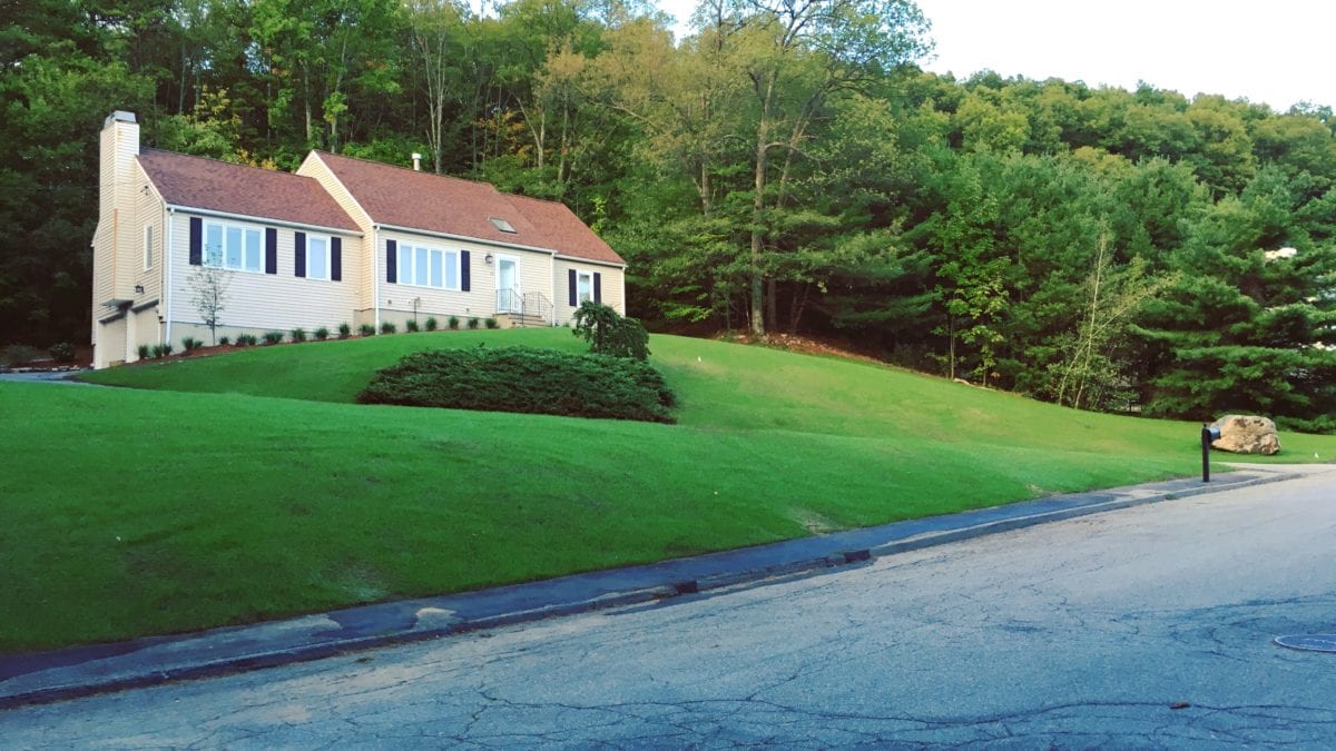 concord fall lawn cleanup