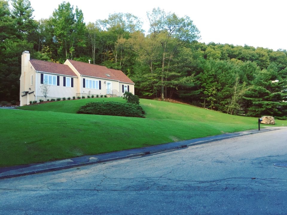 concord fall lawn cleanup