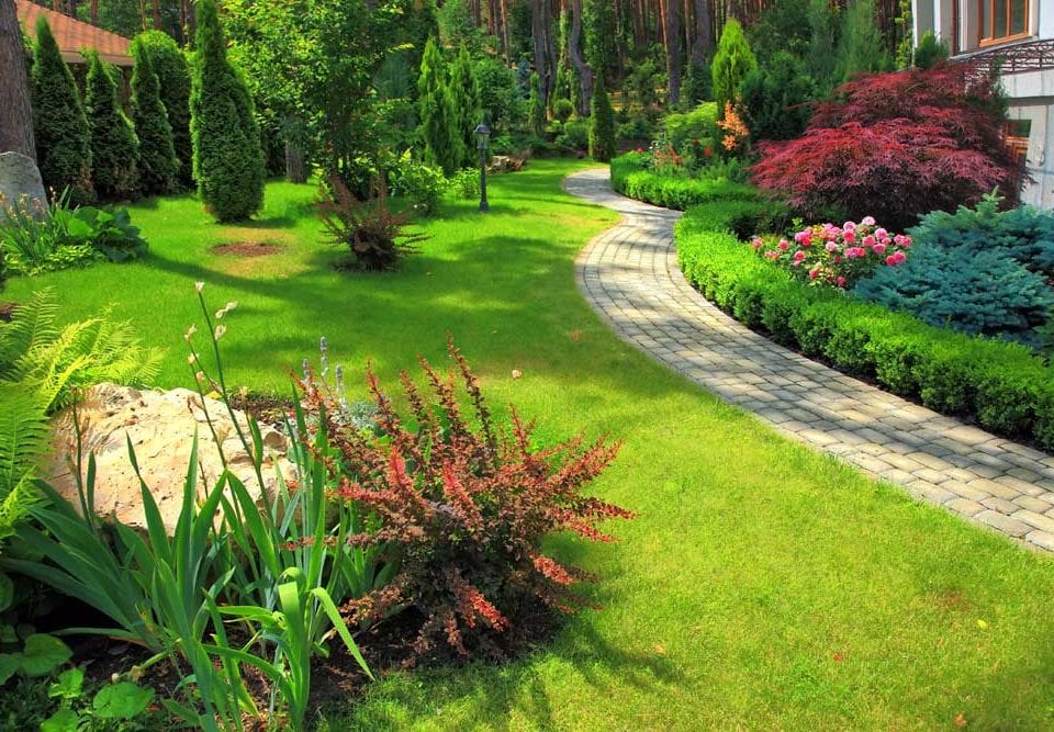 Landscaping_Company