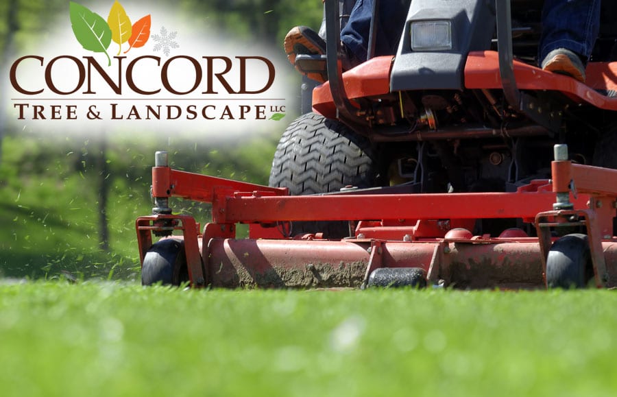 landscape maintenance