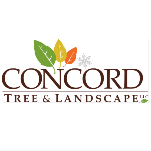 Concord Tree & Landscape