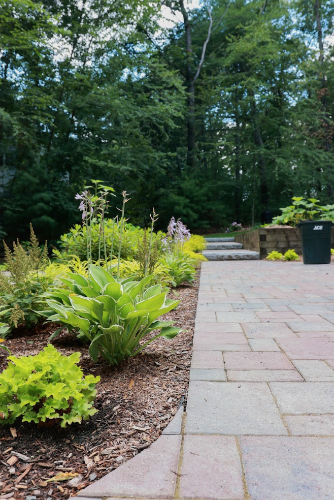 Walkway, Mulching, Plantings