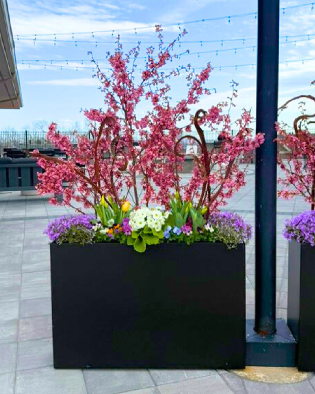 Curb Appeal That Sells: Why Spring & Summer Planters Mean Business for ...